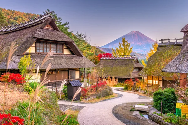 村と富士山 — ストック写真