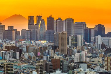 Tokyo siluetinin ve fuji Dağı
