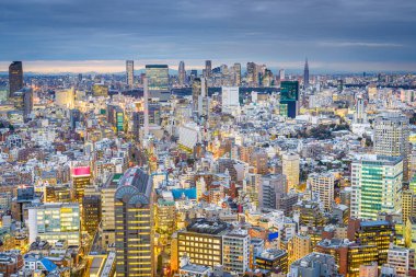 Tokyo, Japonya'nın Ebisu Bölgesi üzerinde Shin'e doğru şehir manzarası