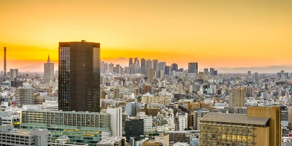 Tokyo siluetinin ve fuji Dağı — Stok fotoğraf