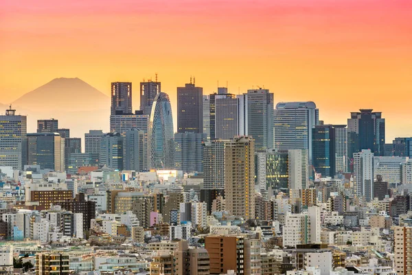 Tokyo Skyline y Fuji Mountain — Foto de Stock