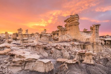 Bisti/De-Na-Zin Wilderness, New Mexico, Amerika Birleşik Devletleri