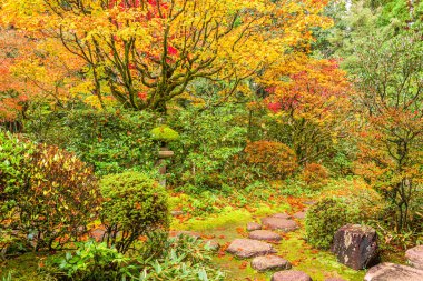 Bahçedeki Shoryaku-ji Tapınağı: Nara, Japan.