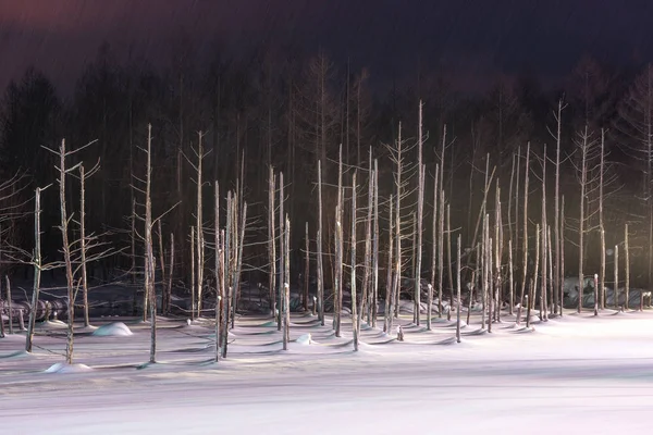 Biei, Japão em Aoike Blue Pond no inverno . — Fotografia de Stock