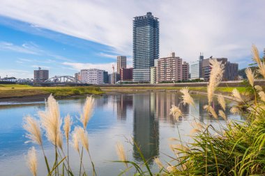 Kumamoto, Japonya şehir cityscape Shirakawa Nehri üzerinde