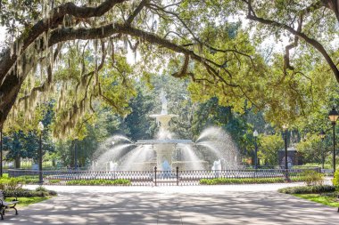 Forsyth Park, Savannah, Georgia, USA fountain  clipart