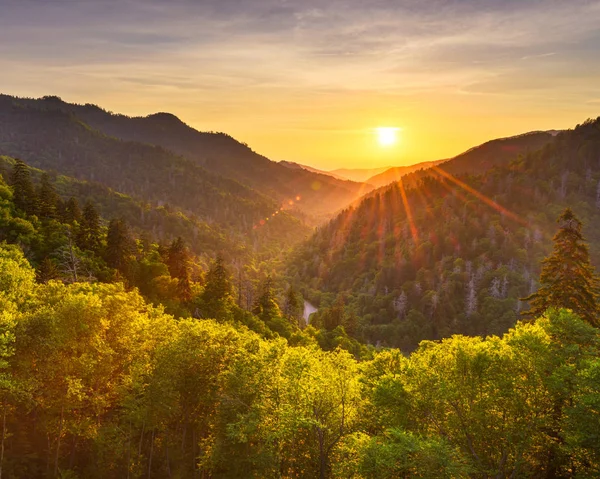 Yeni bulduğun Gap Dumanlı dağlar