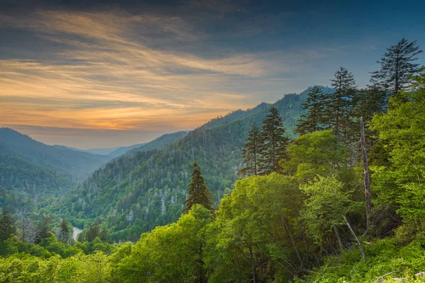 Newfound Gap Smoky Mountains — Stock Photo, Image