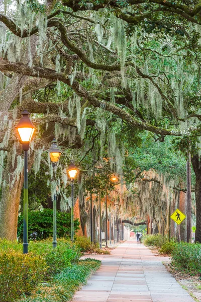 Savannah, Georgia, USA fákkal övezett járdák — Stock Fotó