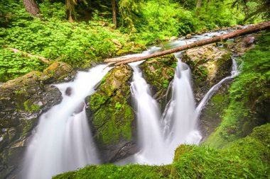 Sol Duc Falls'ta olimpik Milli Parkı