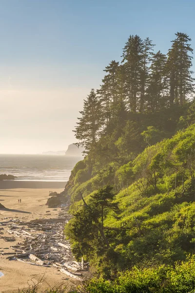 Robijn strand, Olympisch Nationaal Park, Washington, de V.s. — Stockfoto