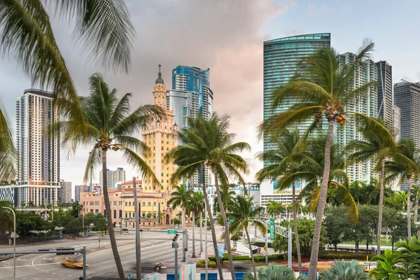 Miami, Florida, Usa Cityscape — стокове фото