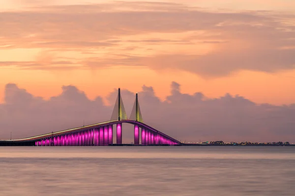 Sunshine Skyway Bridge Enjambant Lower Tampa Bay Reliant Terra Ceia — Photo