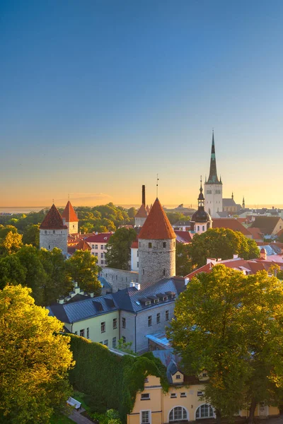Tallinn Estônia Skyline Cidade Velha Amanhecer — Fotografia de Stock
