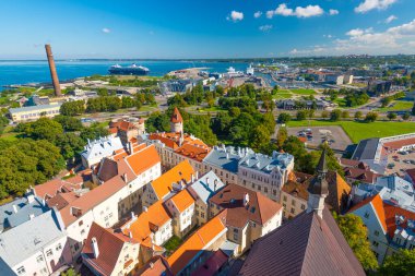 Tallinn, Estonya Toompea Tepesi 'nin tarihi silueti.