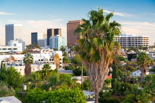 Beverly Hills California Usa Rooftop Skyline View Focus Palm Trees — Stock Photo, Image