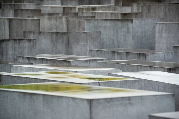 Berlin Niemcy Wrzesień 2013 Pomnik Zamordowanych Żydów Europy — Zdjęcie stockowe