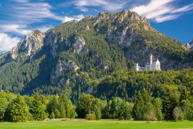 Almanya 'nın Bavyera Alplerindeki Neuschwanstein Şatosu.