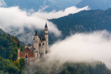 Almanya 'nın Bavyera Alplerinde sis olan Neuschwanstein Kalesi