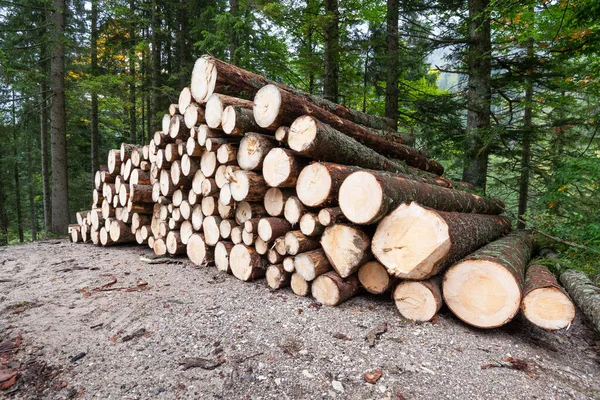 Pile Lumber Bavarian Mountains Fussen Germany — Stock Photo, Image