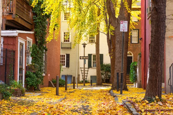 Vicolo Autunno Quartiere Tradizionale Filadelfia Pennsylvania Usa — Foto Stock