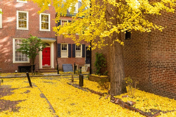 Herfst Steegje Een Traditionele Buurt Philadelphia Pennsylvania Verenigde Staten — Stockfoto