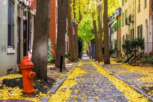 Vicolo Autunno Quartiere Tradizionale Filadelfia Pennsylvania Usa — Foto Stock