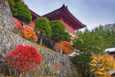 Nikko, Tochigi 'deki Chuzen-ji Tapınağı, sonbahar sezonu boyunca Japonya.
