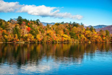 Nikko, Japonya 'daki Chuzenji Gölü etrafındaki dağlara yapraklar dökülüyor..