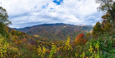 Great Smoky Dağları Ulusal Parkı, Tennessee, ABD Sonbaharda Yeni Bulunan Geçit 'i.