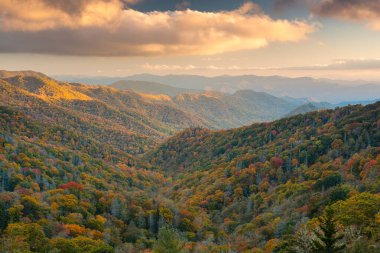 Great Smoky Dağları Ulusal Parkı, Tennessee, ABD Sonbaharda Yeni Bulunan Geçit 'i.