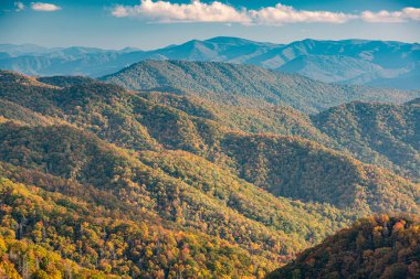 Great Smoky Dağları Ulusal Parkı, Tennessee, ABD Sonbaharda Yeni Bulunan Geçit 'i.