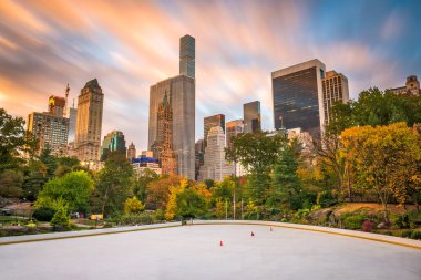 New York, New York, ABD Sonbaharda Central Park 'tan şehir manzarası.