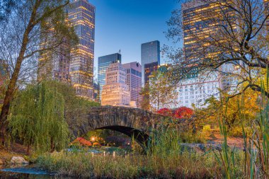 New York, New York, ABD Central Park 'tan sonbahar sezonunda alacakaranlıkta.