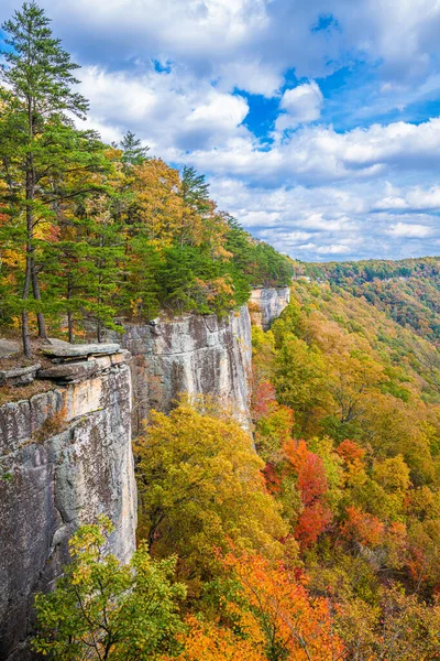 New River Gorge West Virginia Usa Herbstlandschaft Der Endlosen Mauer — Stockfoto
