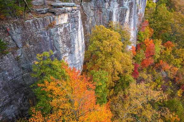 New River Gorge Wirginia Zachodnia Usa Jesienny Krajobraz Przy Niekończącym — Zdjęcie stockowe