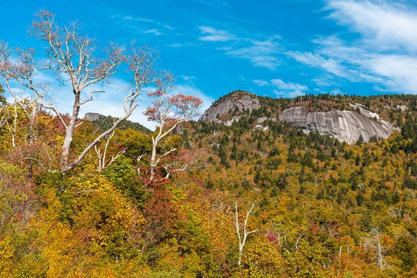 Dziadek Mountain Karolina Północna Usa Jesiennymi Liśćmi — Zdjęcie stockowe