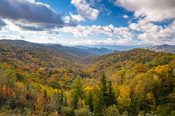 National Park Great Smoky Mountains National Park Tennessee Usa Looking — стокове фото