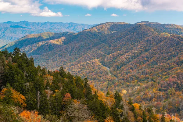 Great Smoky Dağları Ulusal Parkı, Tennessee, ABD Sonbaharda Yeni Bulunan Geçit 'i.