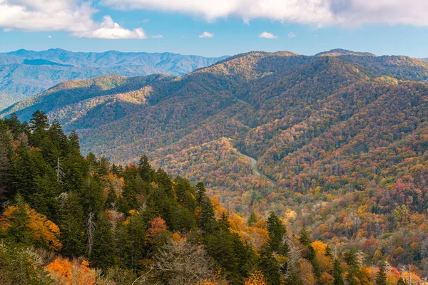 グレート スモーキー山脈国立公園 テネシー州 アメリカ ニューファウンド パスを見下ろす秋 — ストック写真