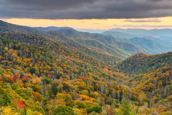 National Park Great Smoky Mountains National Park Tennessee Usa Looking — стокове фото