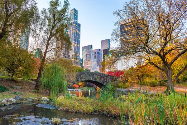 New York, New York, ABD Central Park 'tan sonbahar sezonunda alacakaranlıkta.