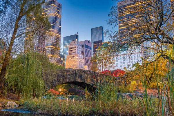 Nueva York Nueva York Desde Central Park Crepúsculo Durante Temporada — Foto de Stock