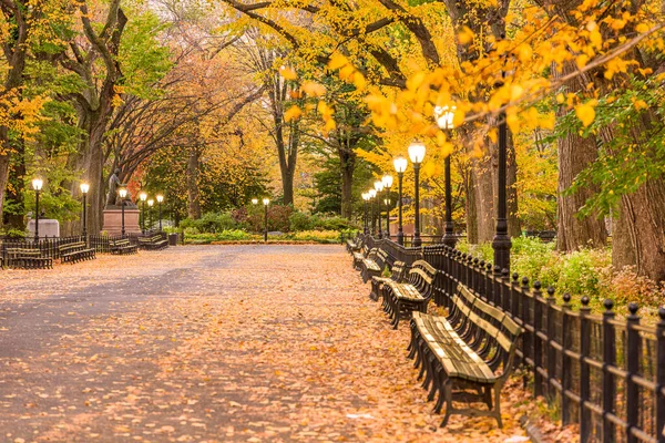 Центральний Парк Торговому Центрі Нью Йорку Восени Світанку — стокове фото