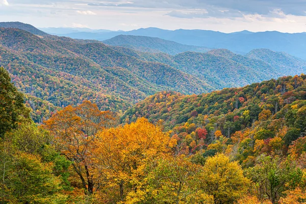 Great Smoky Mountains National Park Tennessee Usa Výhledem Průsmyk Newfound Royalty Free Stock Obrázky