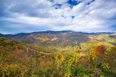 Great Smoky Dağları Ulusal Parkı, Tennessee, ABD Sonbaharda.