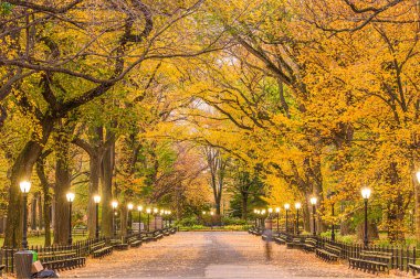 Sonbahar boyunca New York 'taki The Mall' da Central Park.