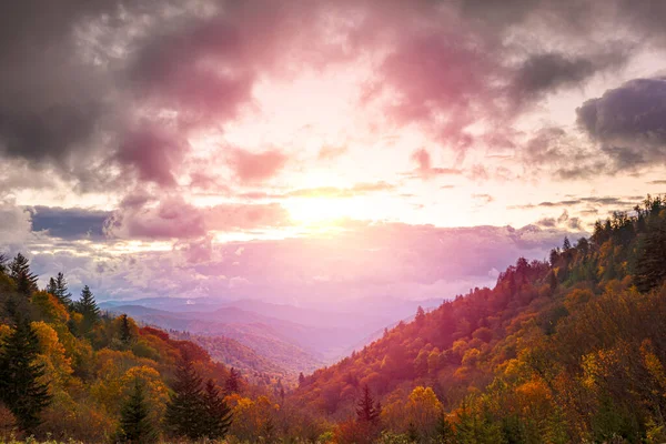 National Park Great Smoky Mountains National Park Tennessee Usa Looking — стокове фото
