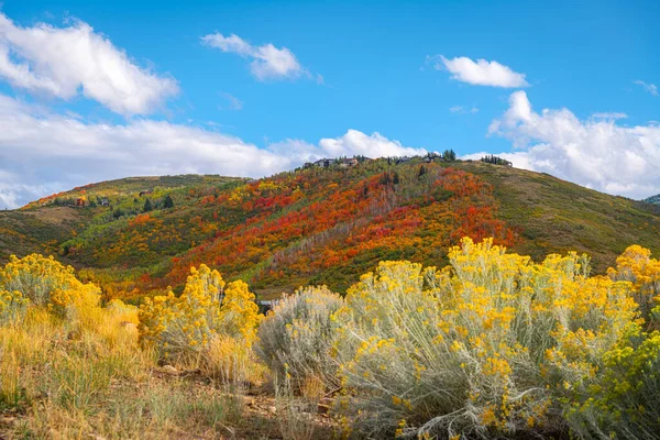 Park City Utah États Unis Feuillage Long Wasatch Retour Automne — Photo