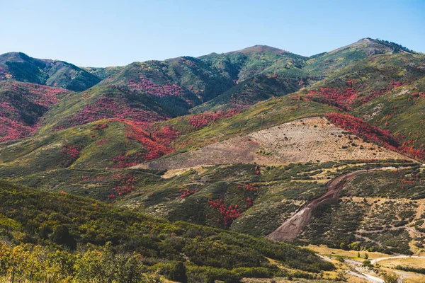 Park City Utah Verenigde Staten Gebladerte Langs Wasatch Terug Herfst — Stockfoto